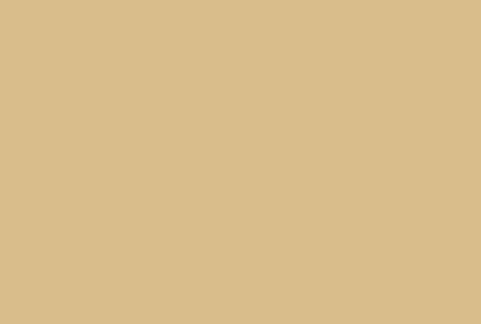 Tempotest 1301